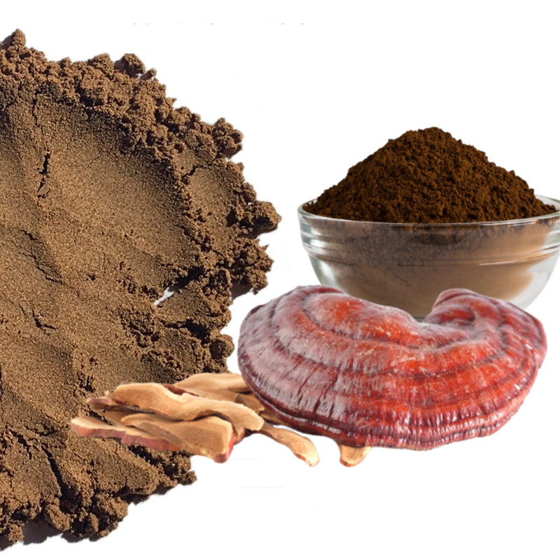 REISH MUSHROOM