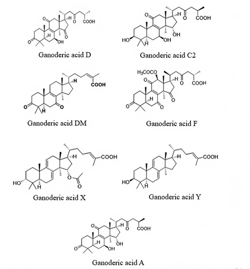 common ganoderic acids in resihi mushroom