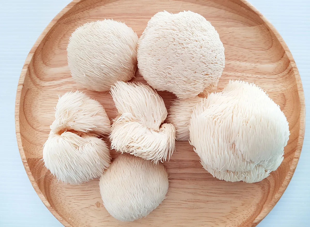 lions mane mushroom 1