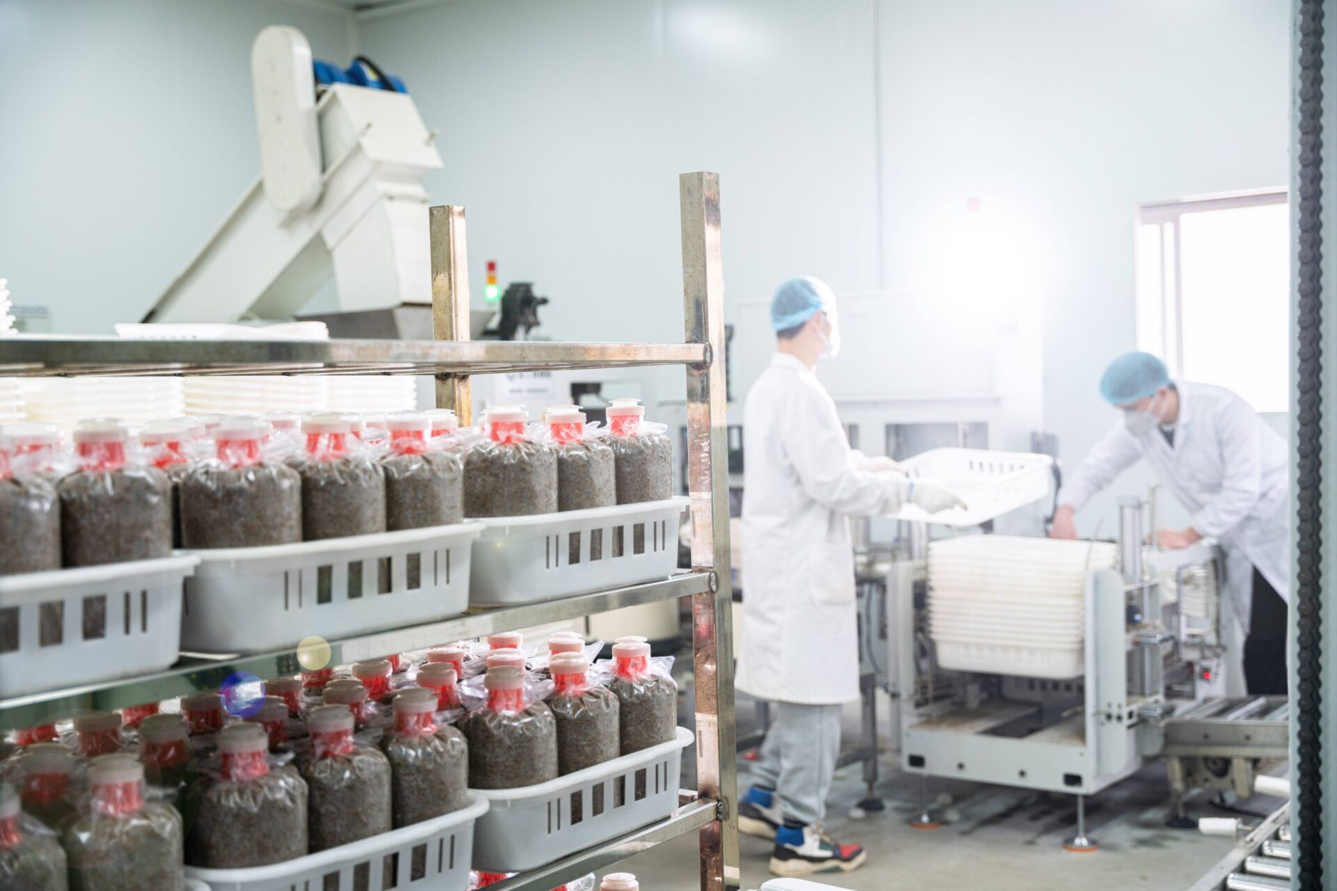mushroom cultivation
