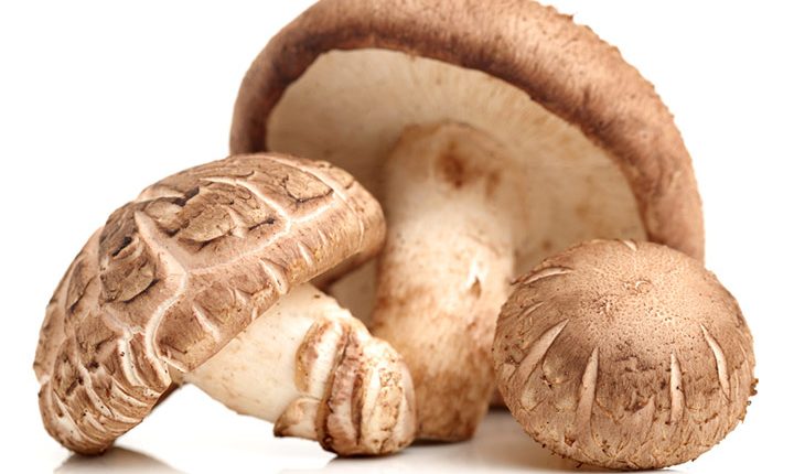 Shiitake Mushrooms Nutritional Information Benefits And Side Effects