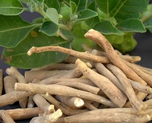 Ashwagandha