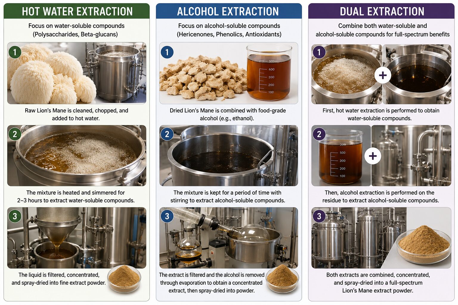 Hericium erinaceus water extract alcohol extract and dual